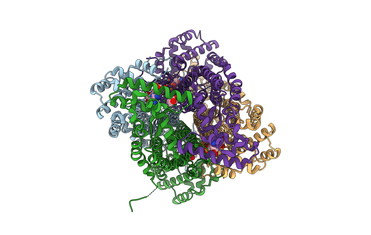 2J91 image