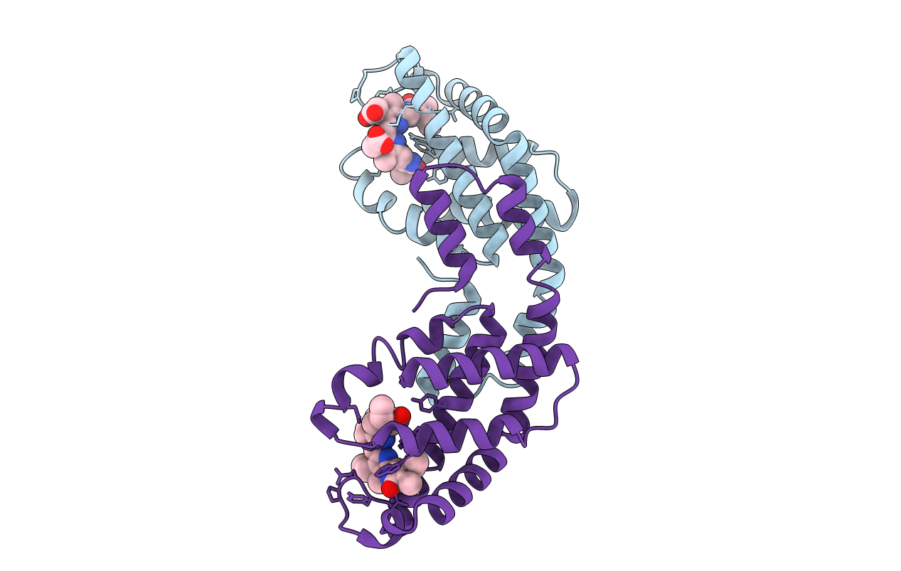 2J96 image