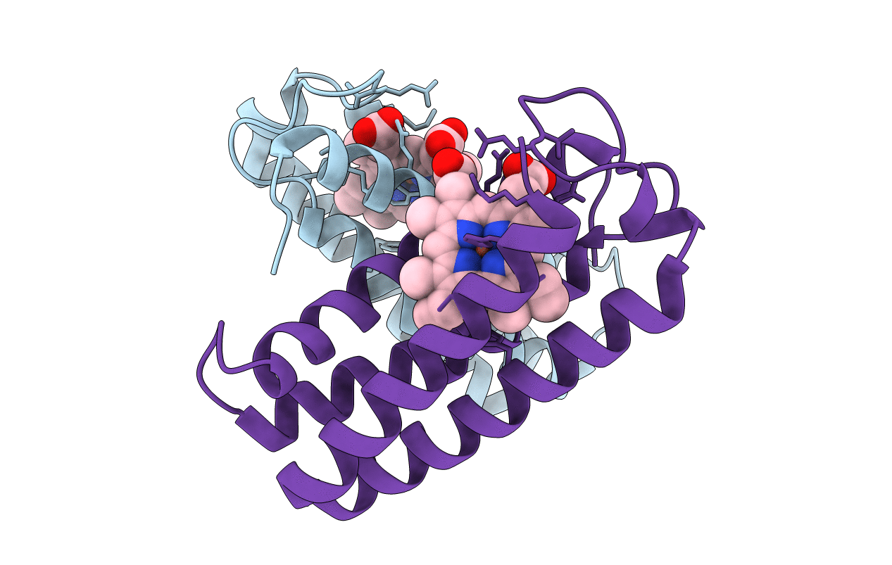 2J9B image