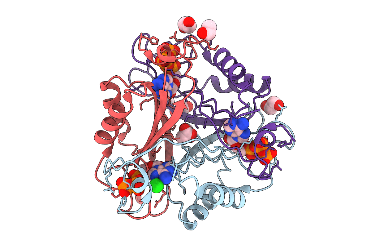 2J9C image