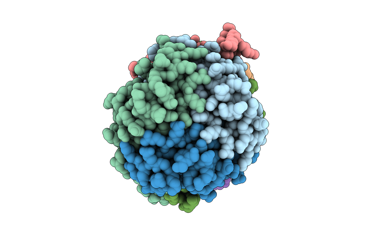 2J9D image