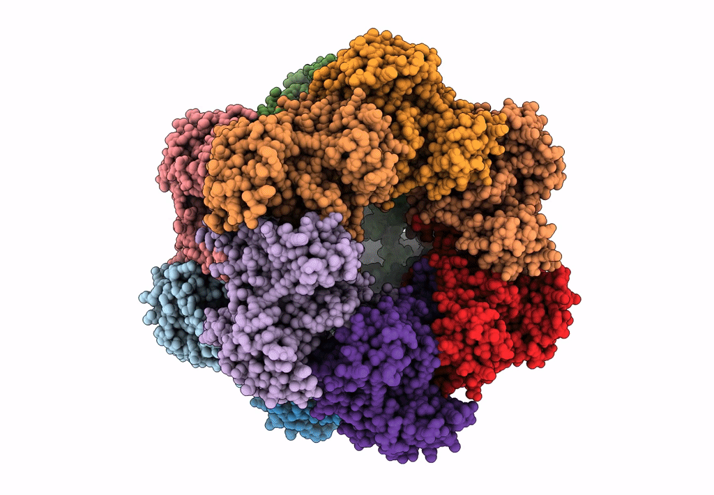 2J9I image