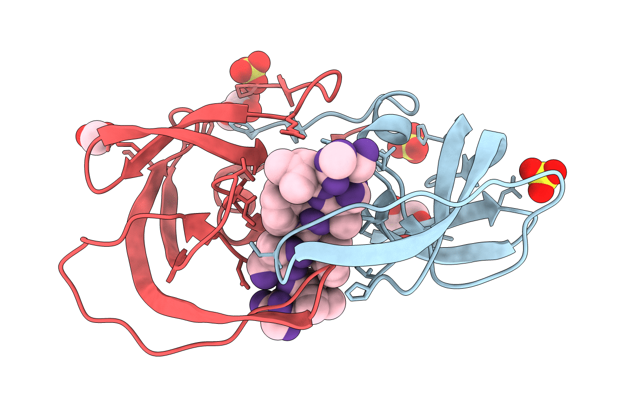 2J9J image