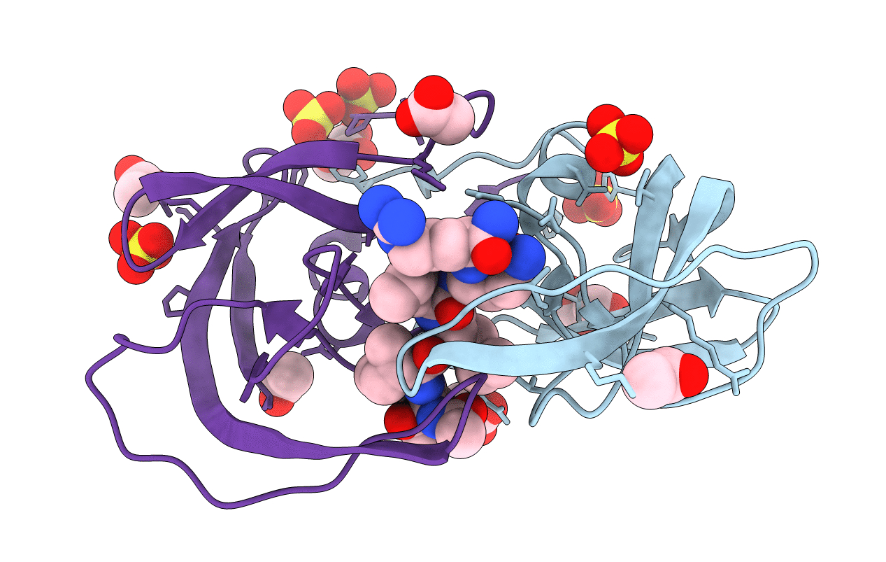 2J9K image