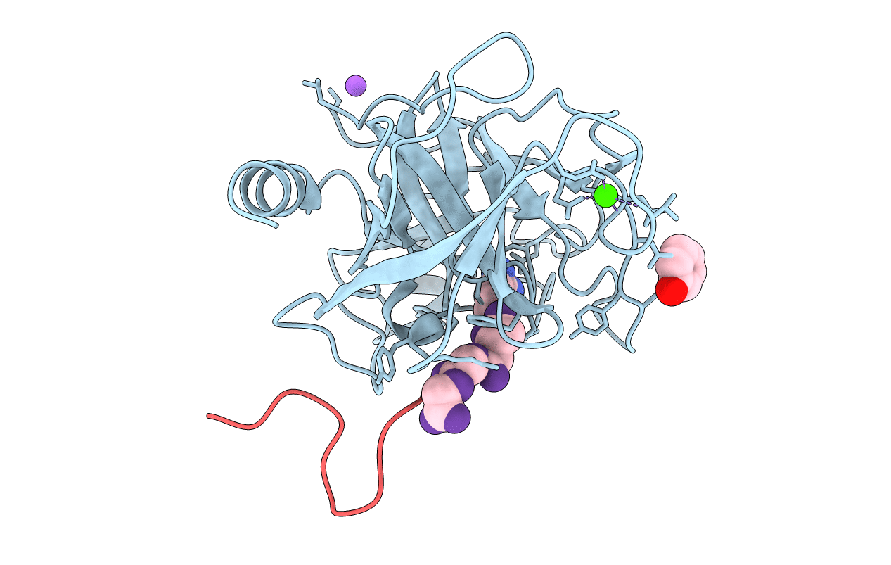 2J9N image