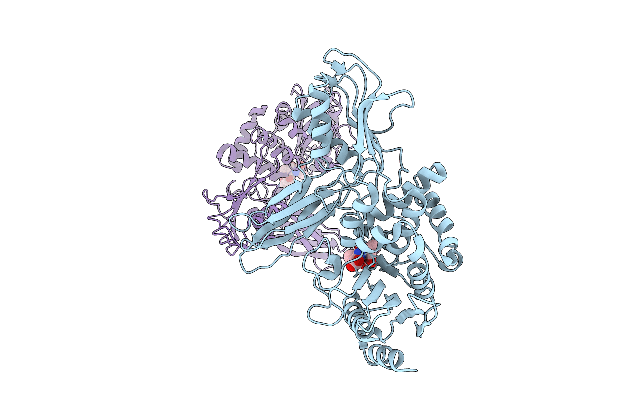 2J9P image
