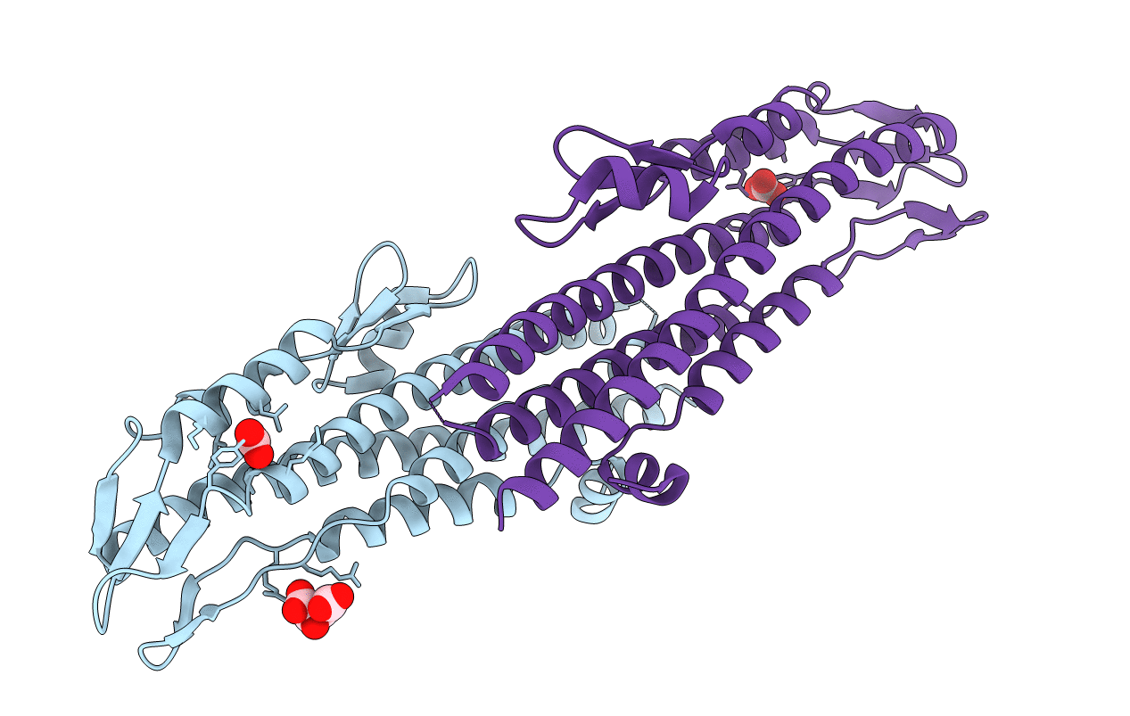 2J9T image
