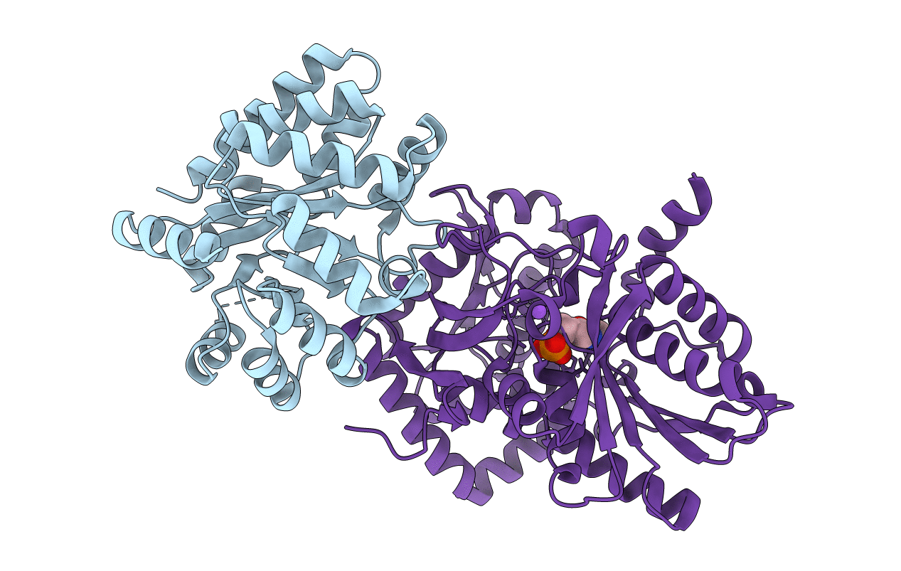 2J9Z image
