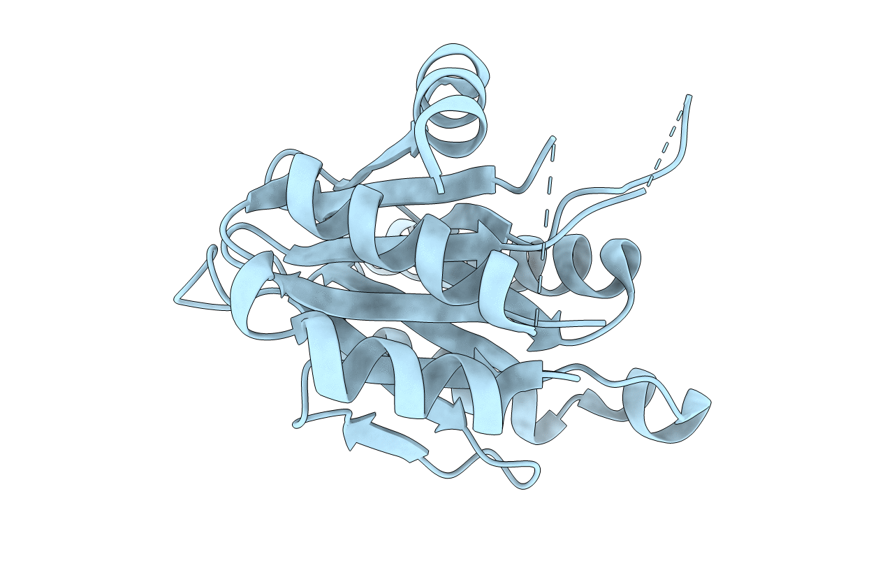 2JAY image