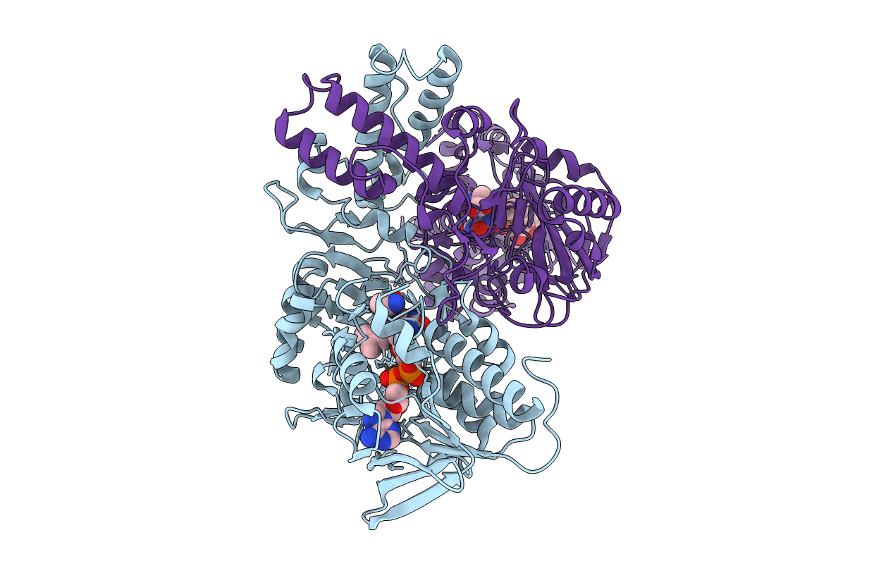 2JB1 image