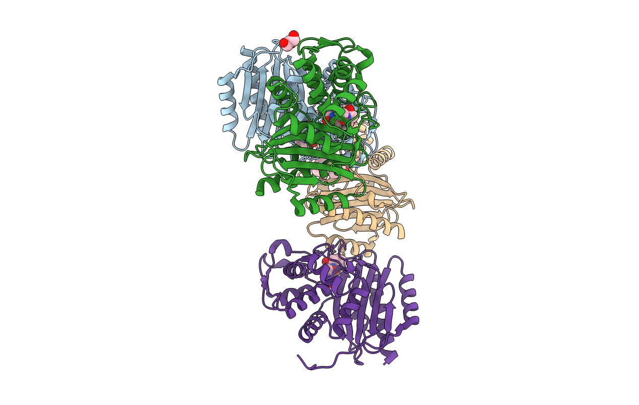 2JBF image