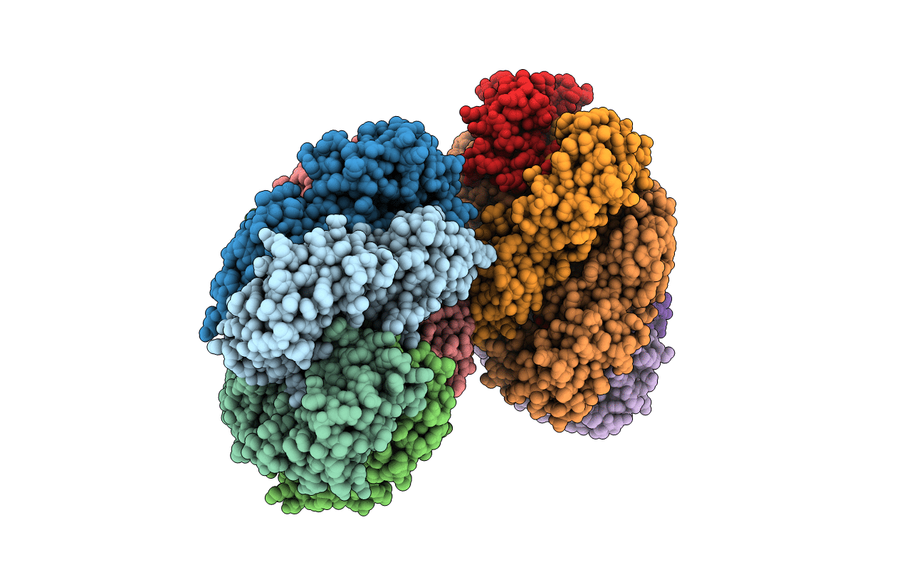 2JBM image
