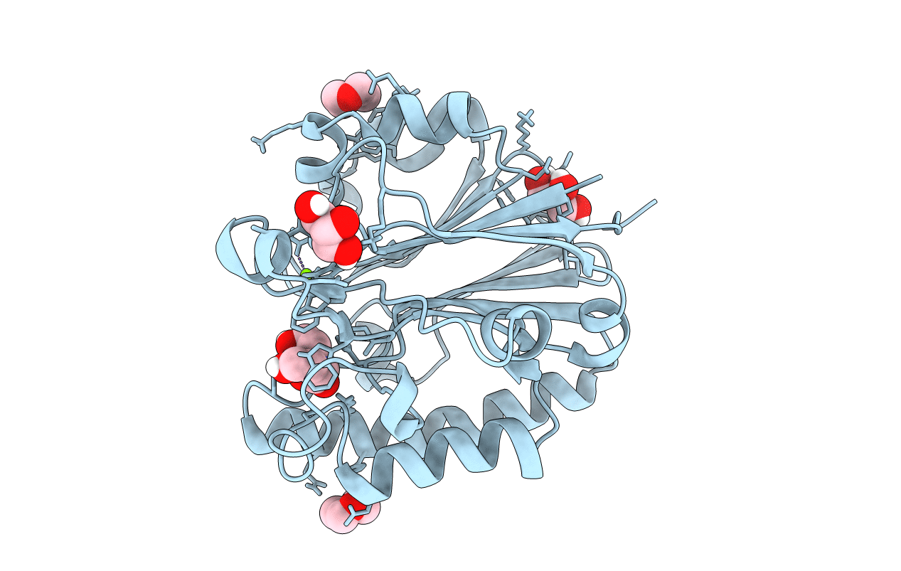 2JC5 image