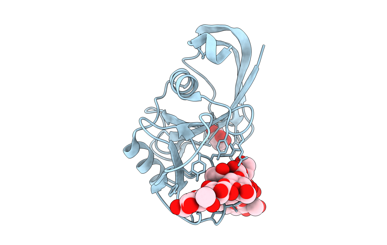 2JCR image