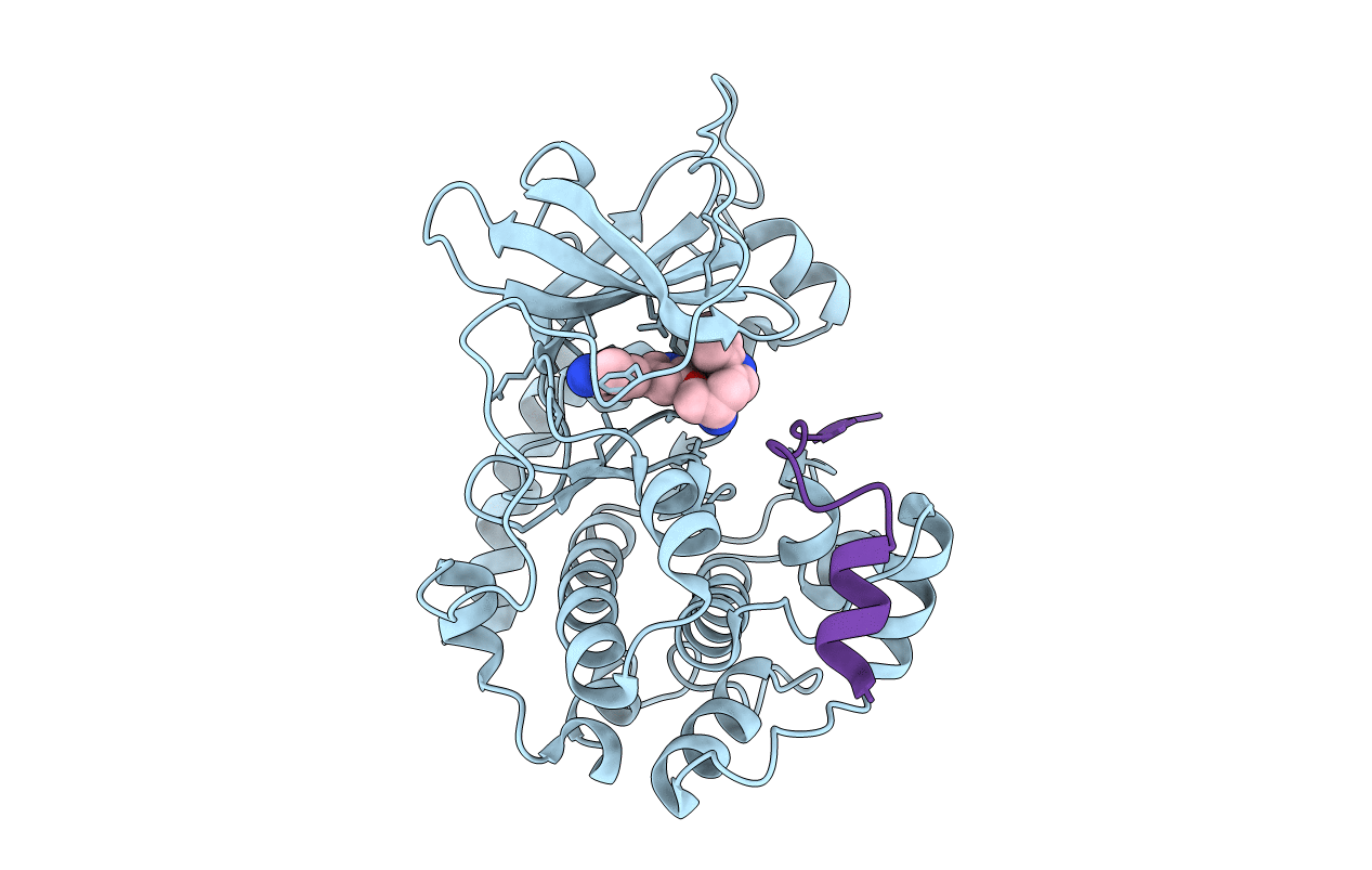 2JDS image