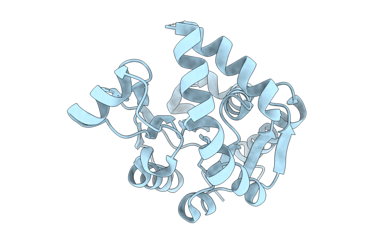 2JEO image