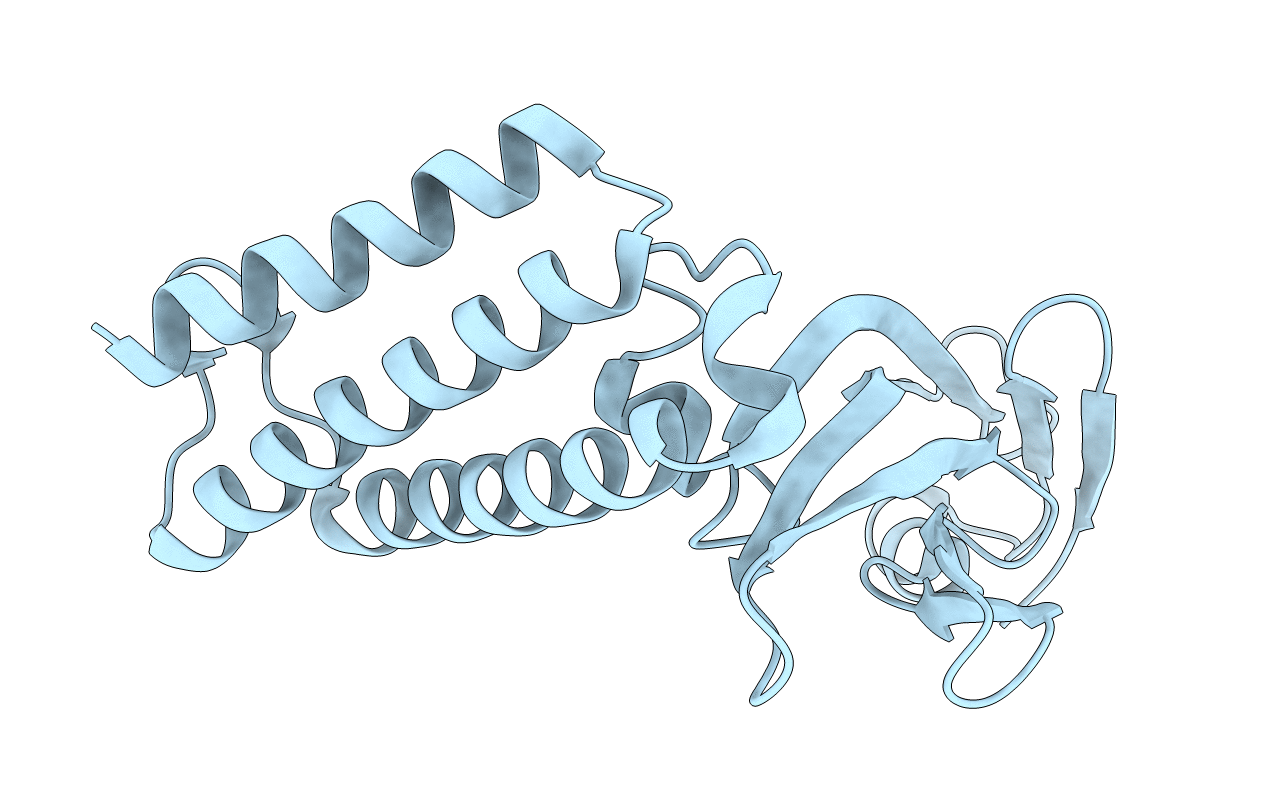 2JEX image
