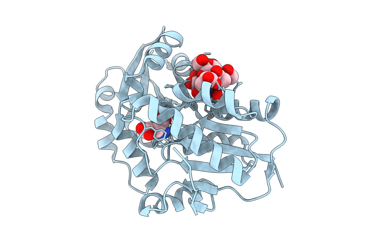 2JFN image