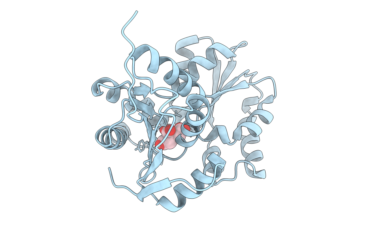 2JFV image