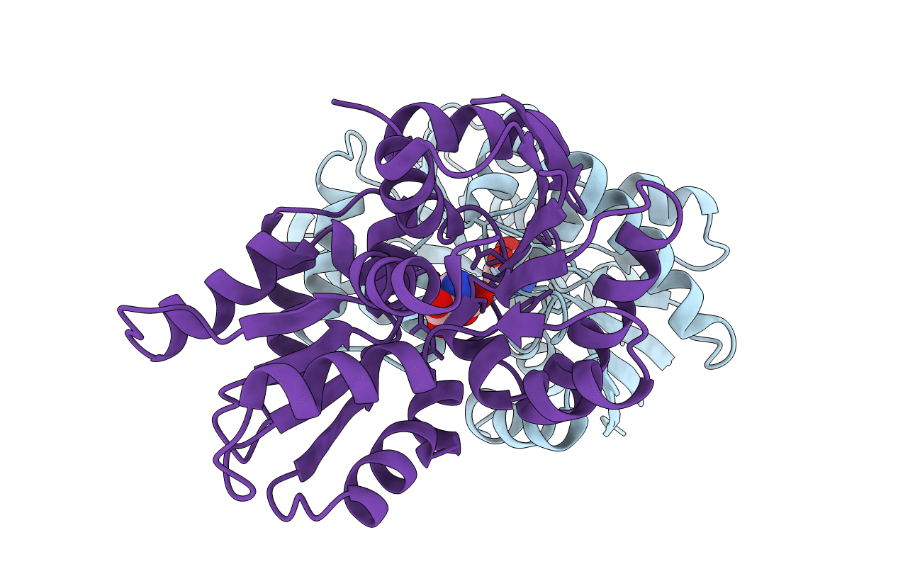 2JFX image