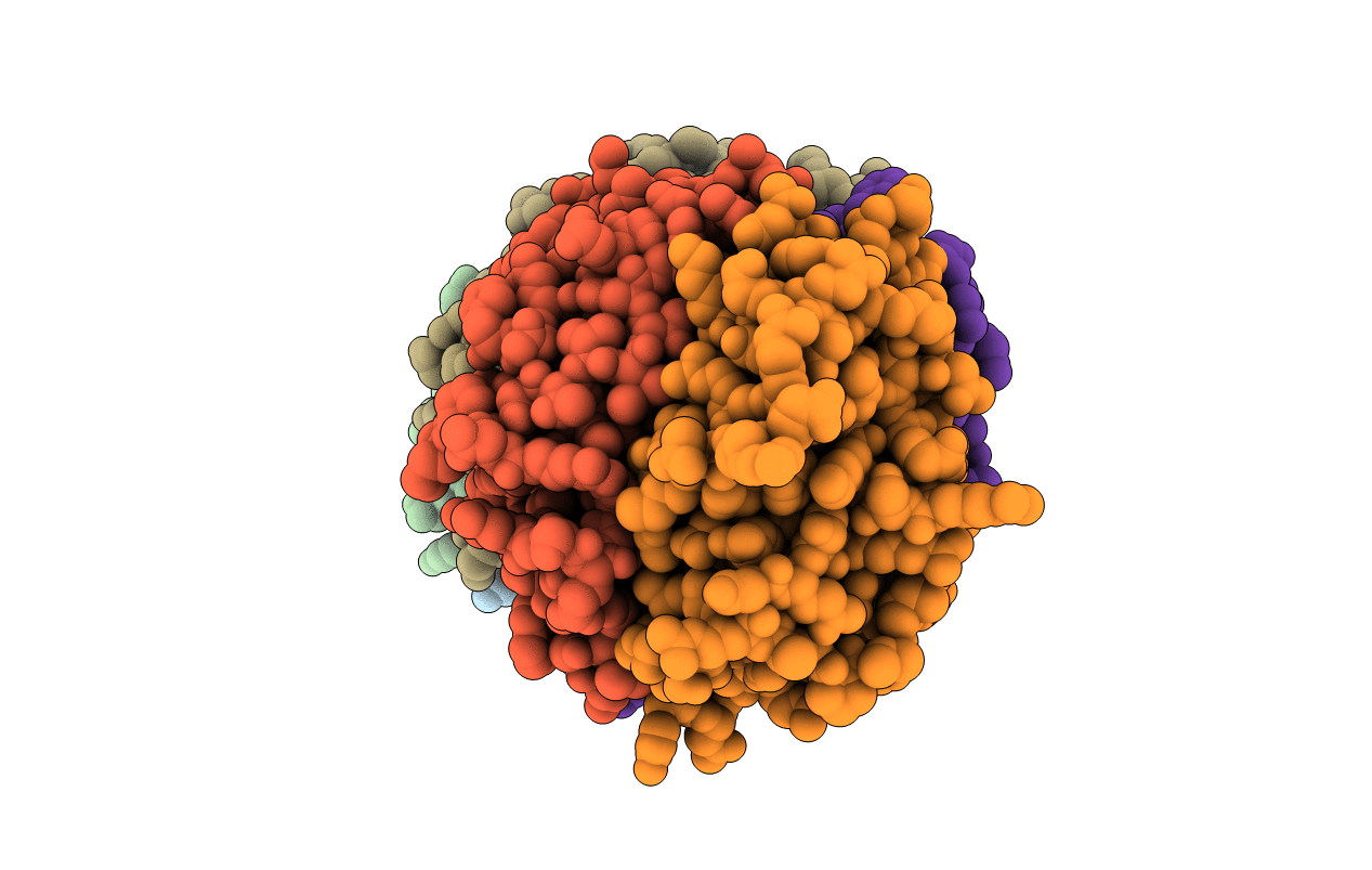 2JG8 image