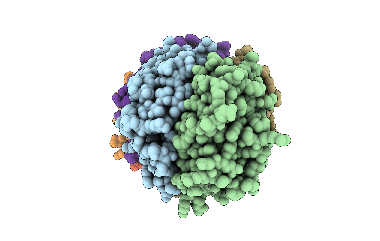 2JG9 image
