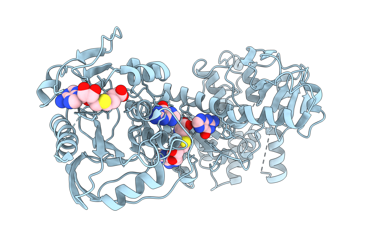 2JHP image