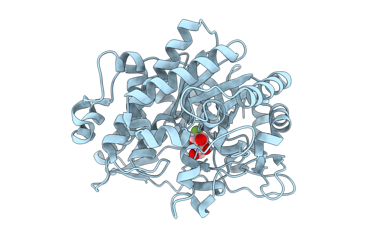 2JIE image