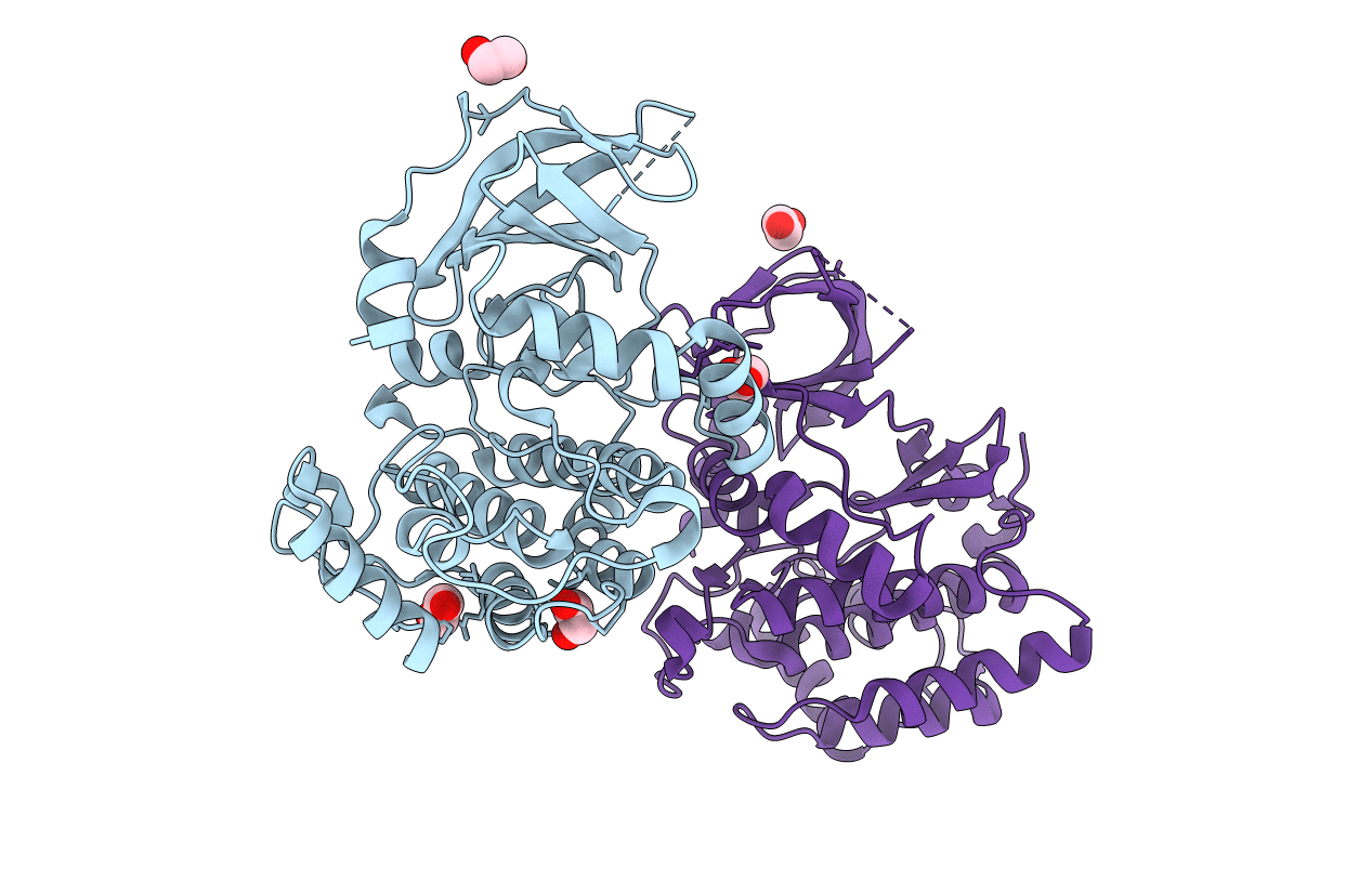 2JII image
