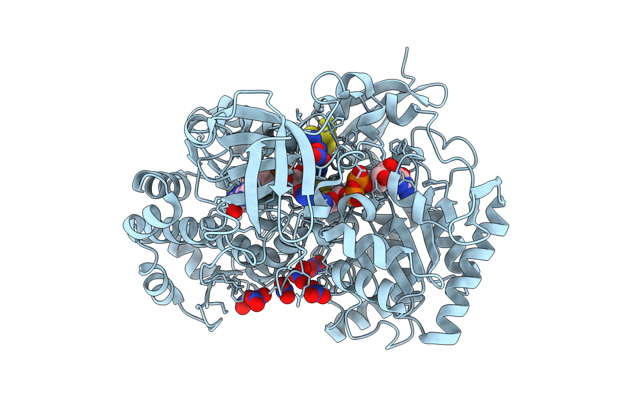 2JIQ image