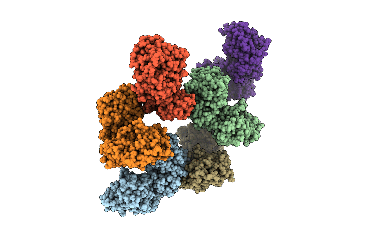 2JJD image