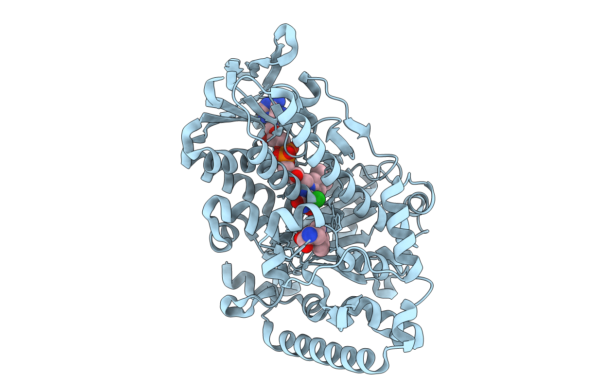 2JKC image