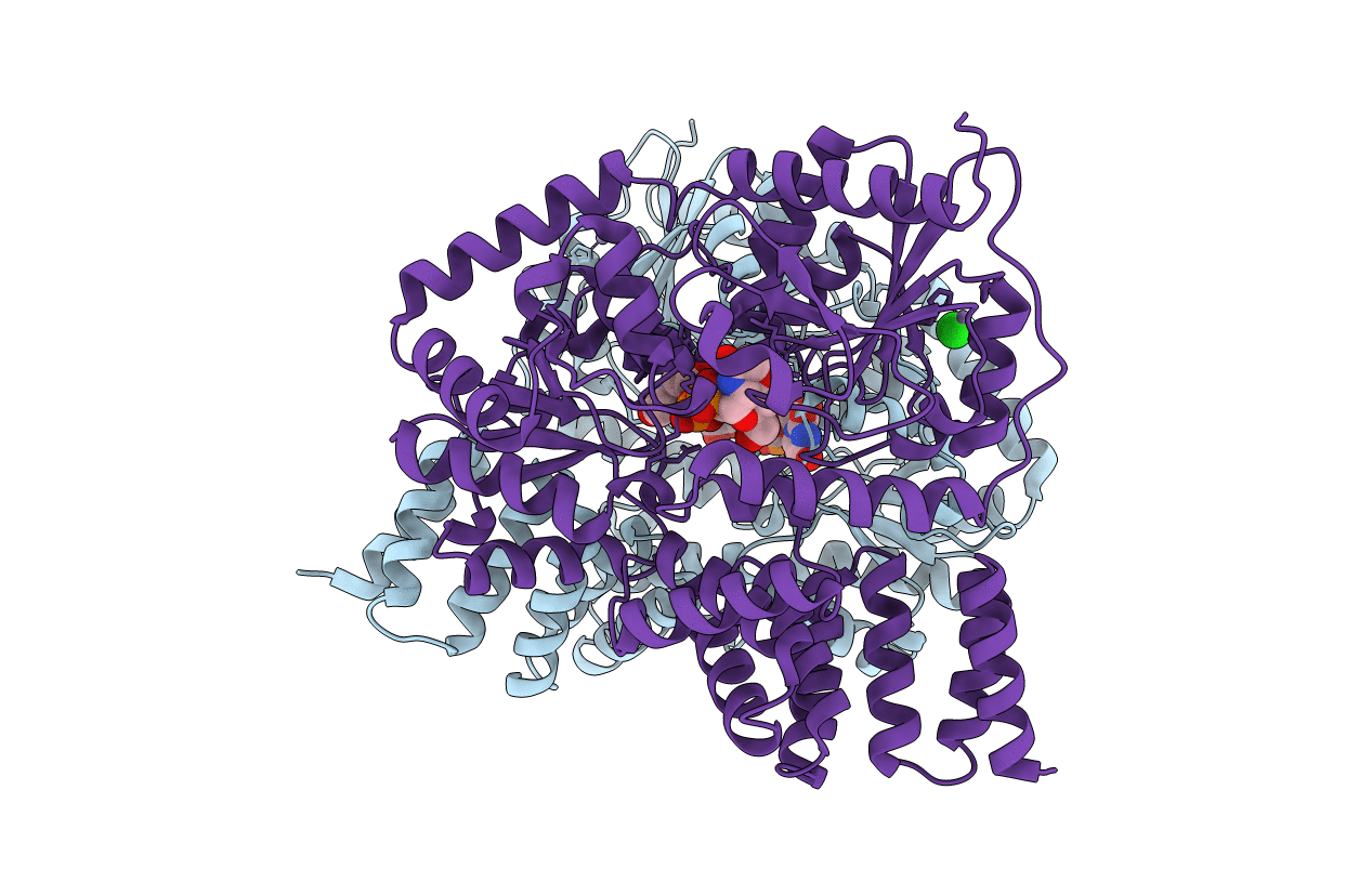 2JLB image