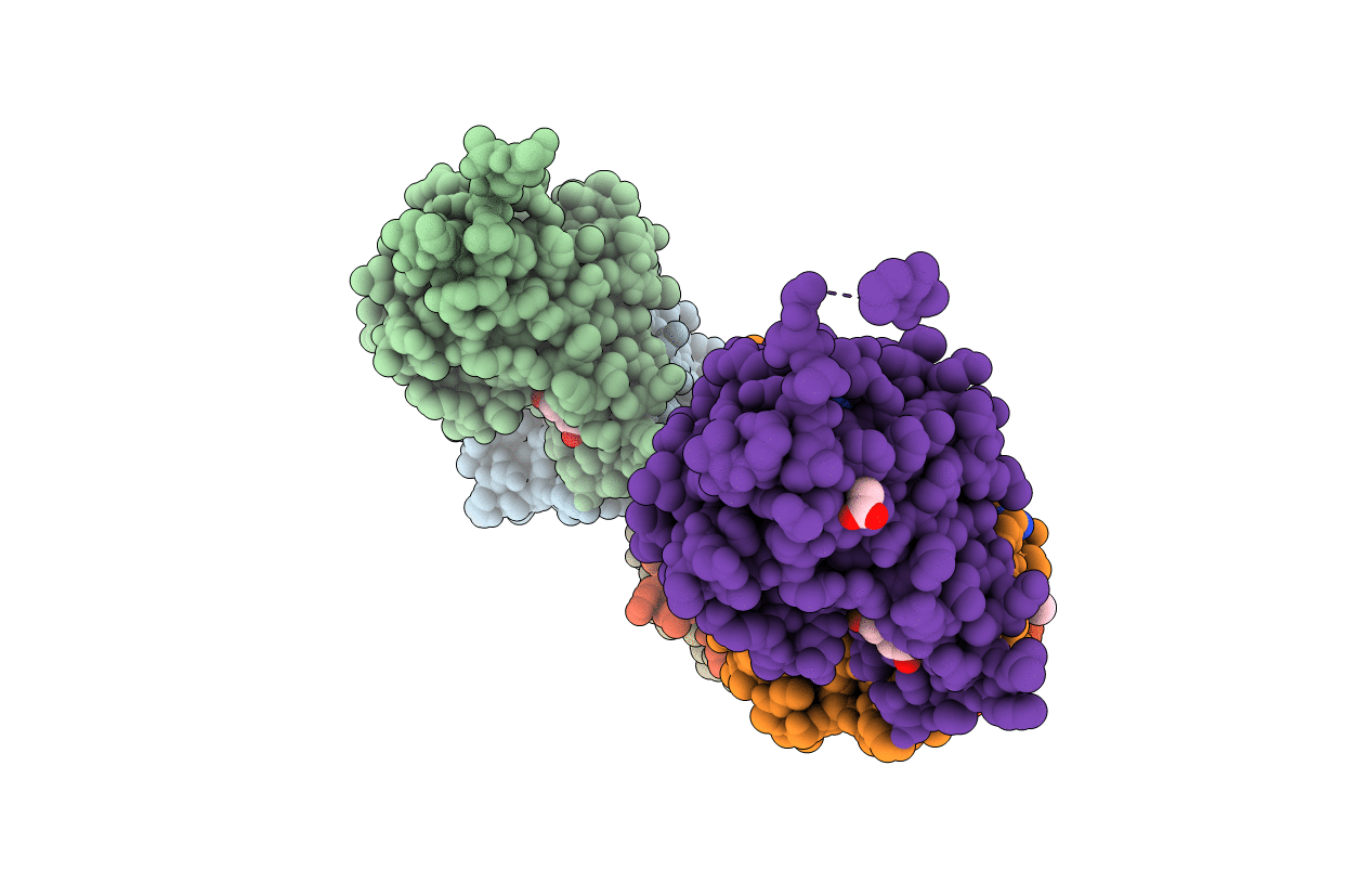 2JLM image