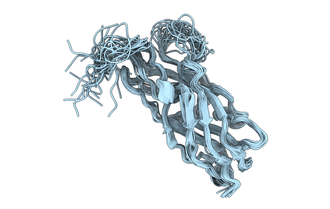 2JMR image