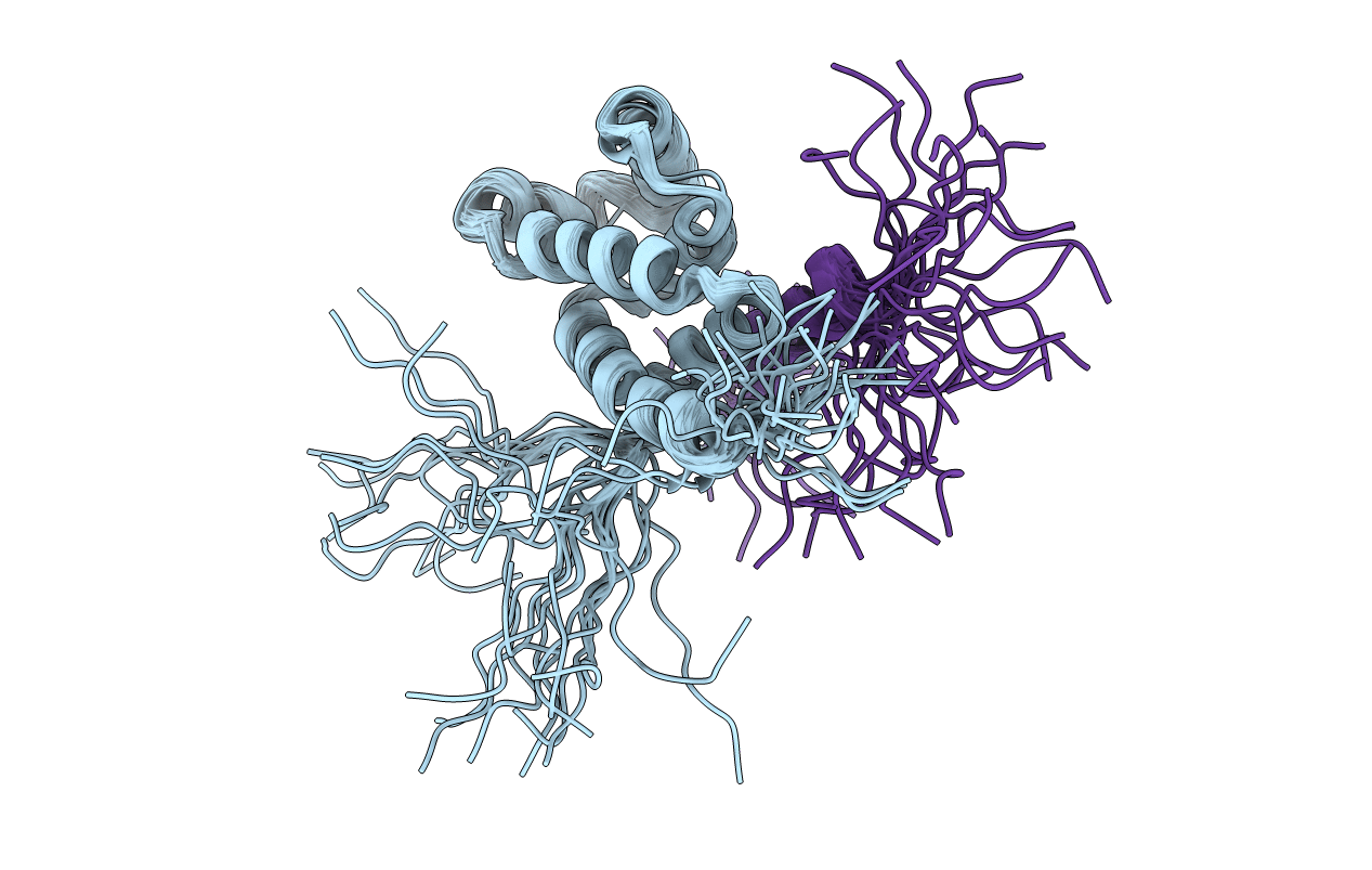 2JMX image