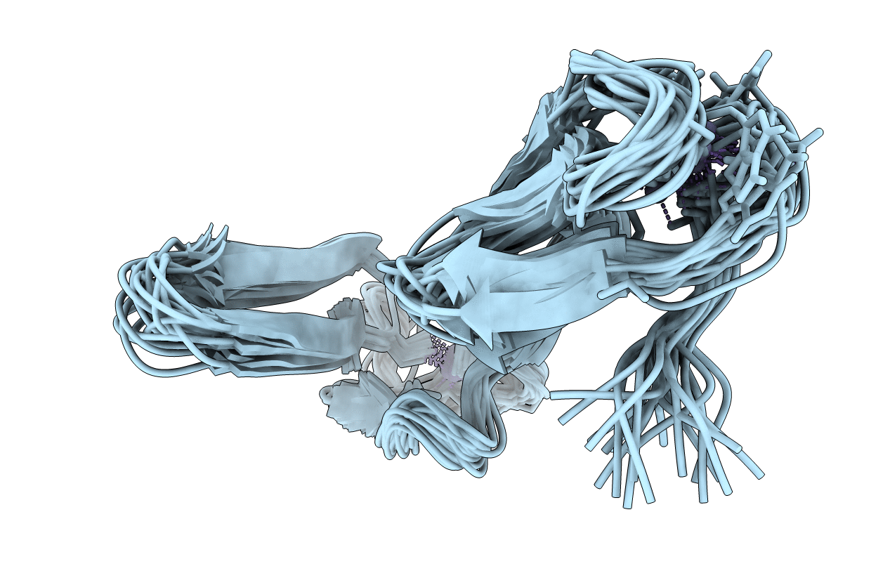 2JNE image