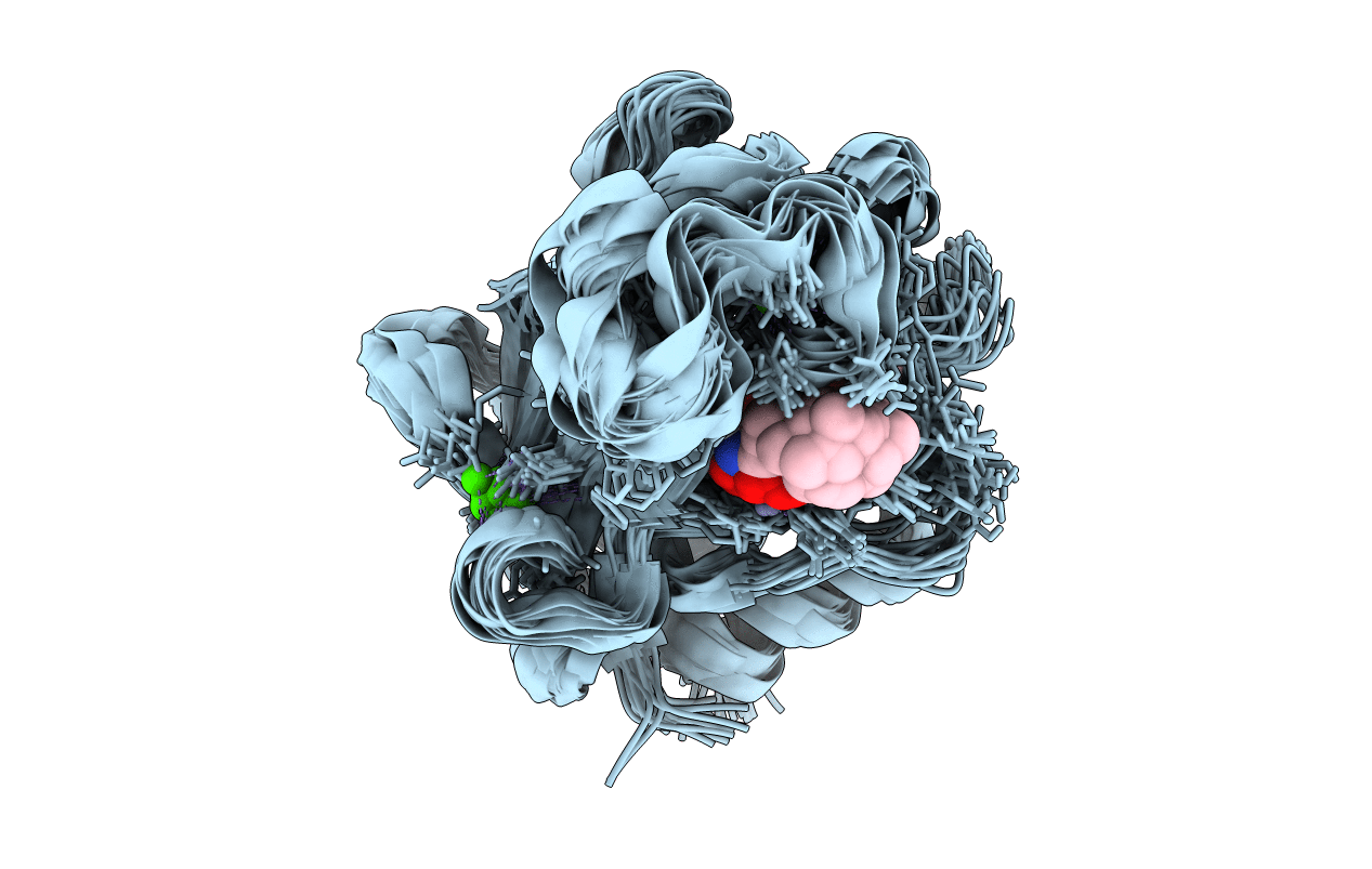 2JNP image