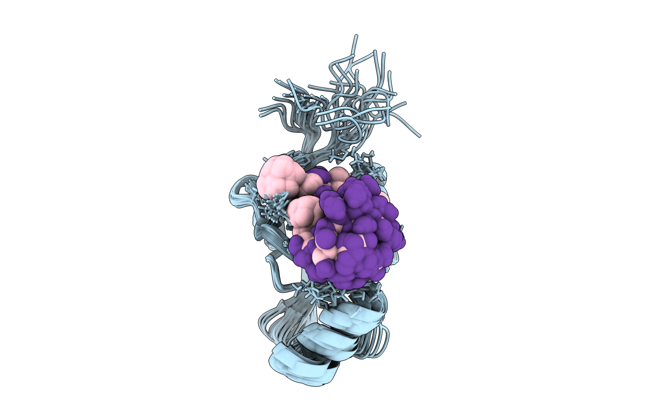 2JOA image