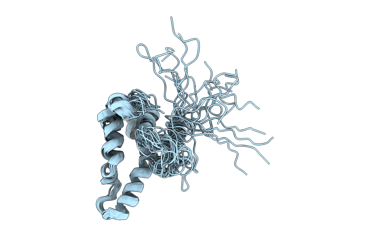 2JPF image