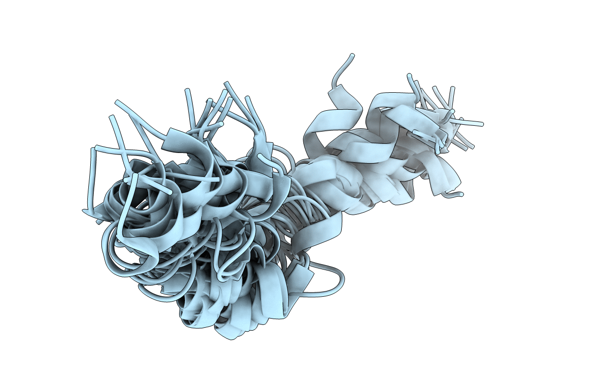 2JPM image
