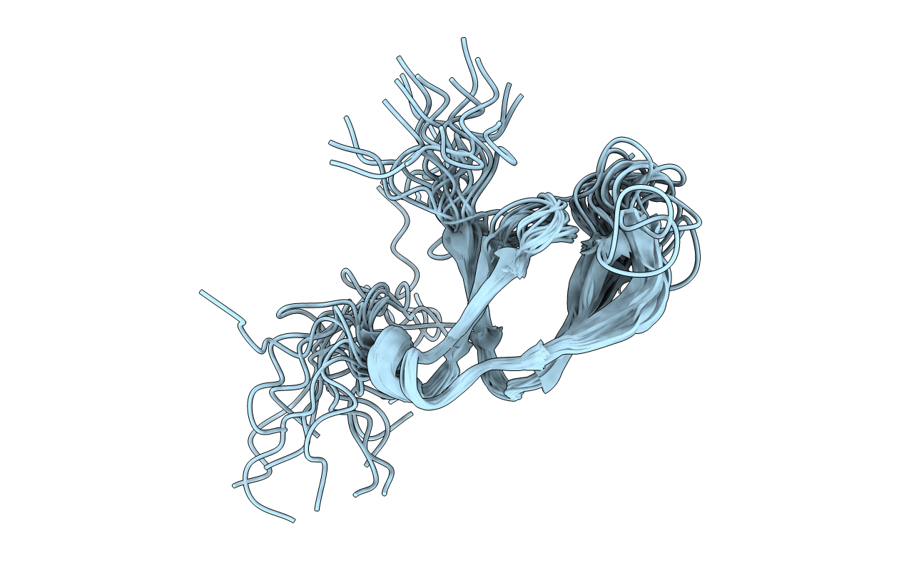 2JRR image
