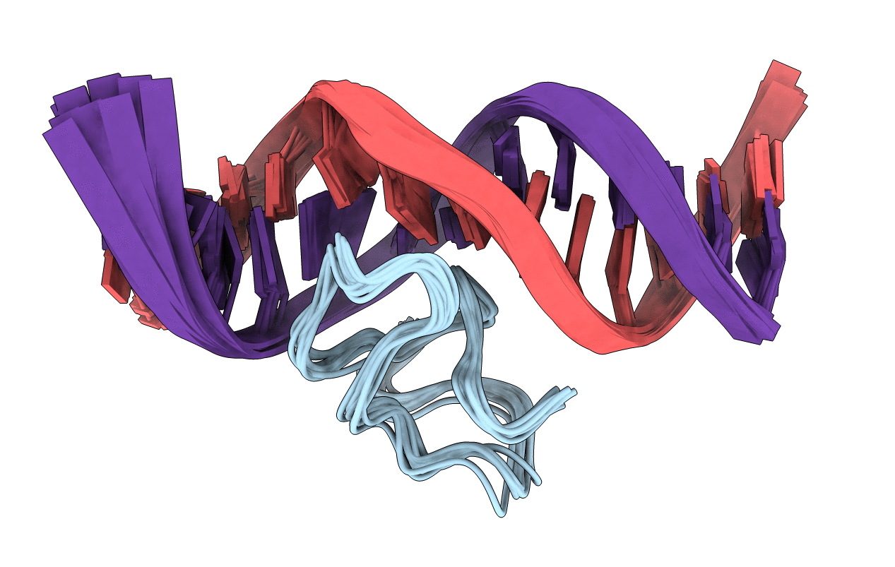 2JX1 image