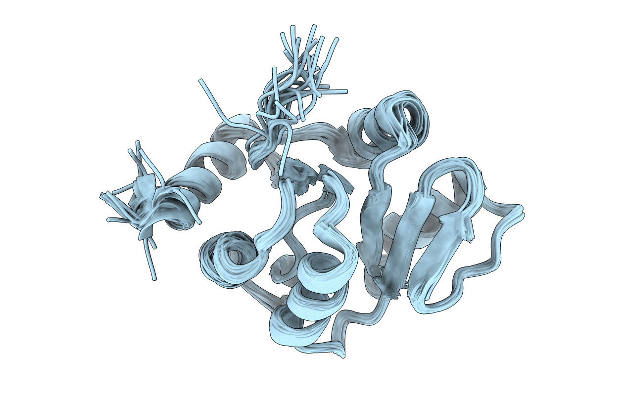 2JZD image