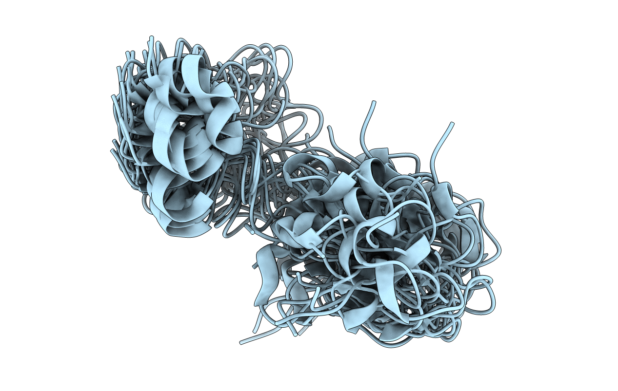 2K2X image