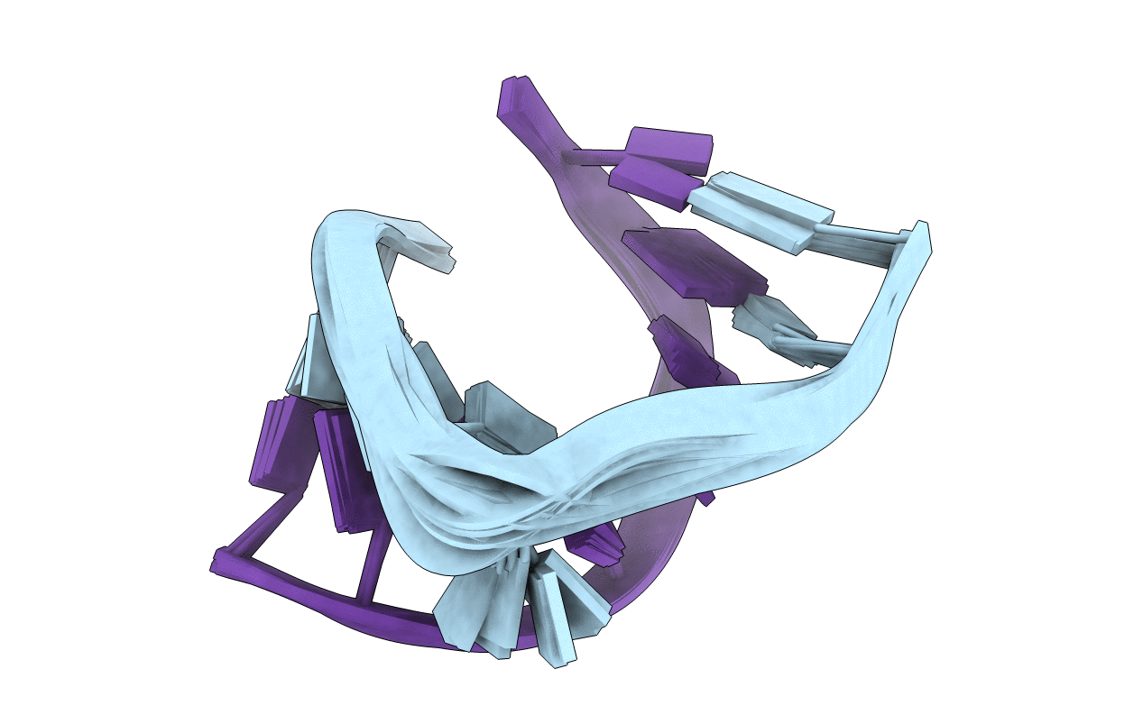 2K41 image