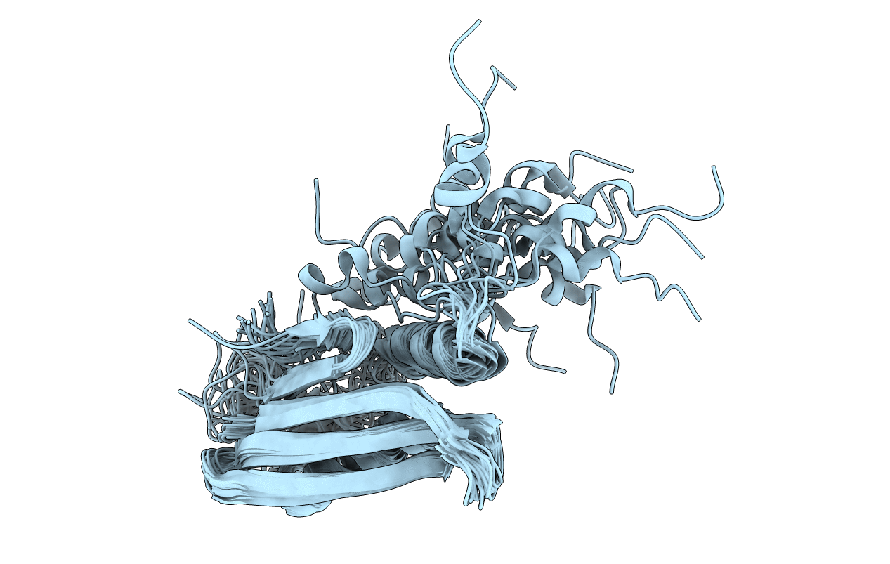 2K4V image