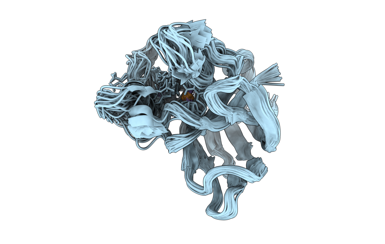 2K4W image