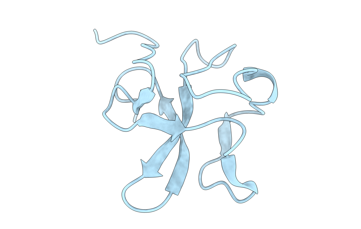 2K51 image