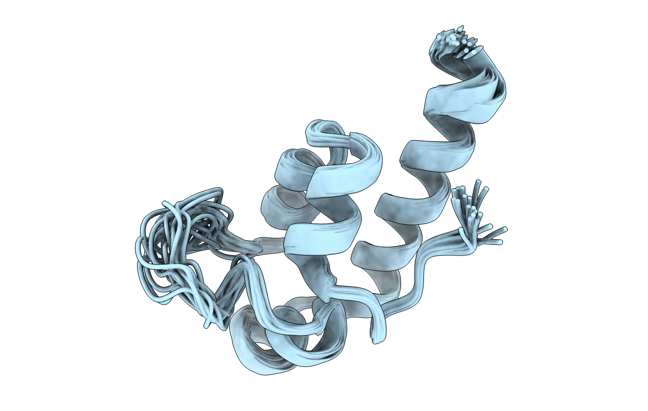 2K53 image